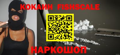 дмт Кингисепп