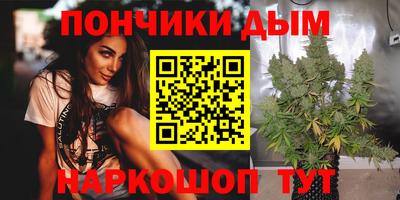 дмт Кингисепп