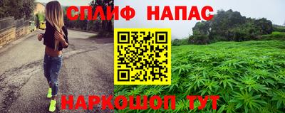 дмт Кингисепп