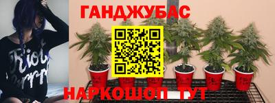кокаин колумбия Кимры