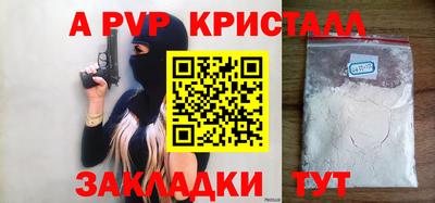 дмт Кингисепп