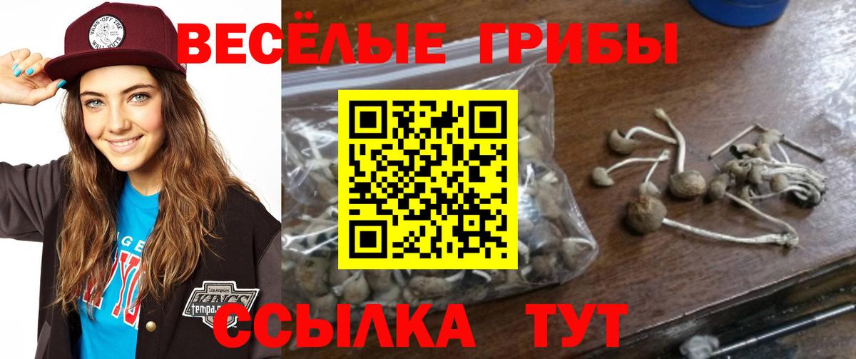 Галлюциногенные грибы Cubensis Видное