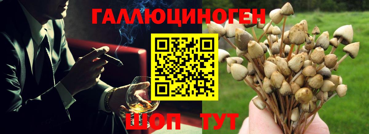  Cocaine Видное